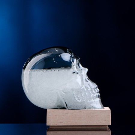 Barometer - Stormglass "Skull" 10x9cm-1