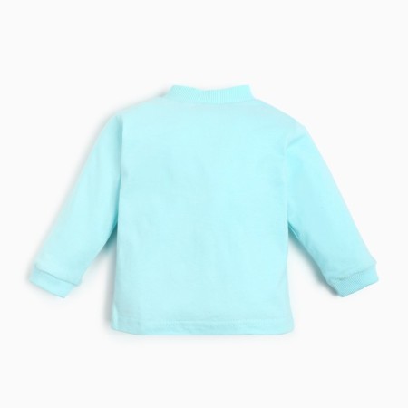 Blood blouse, blue color, height 50-56 cm-3