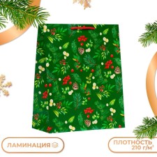 Gift Package 