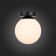 Wall lamp EVOLUCE. SL717.401.01. Acini. 1x40 W, E27, 18x18x22 cm, black color