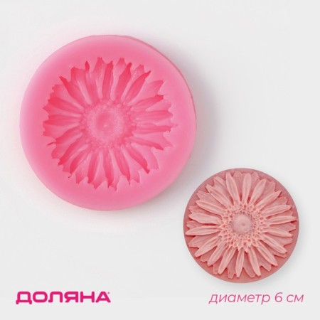 Mold Dolyana "Herber", silicone, d = 6 cm, color mix