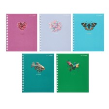 Notebook of 48 sheets in the cage on the crest 