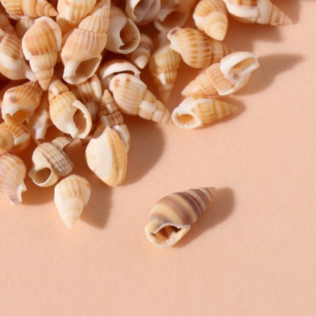 Natural decorative shells "beige" set of 100 grams-2