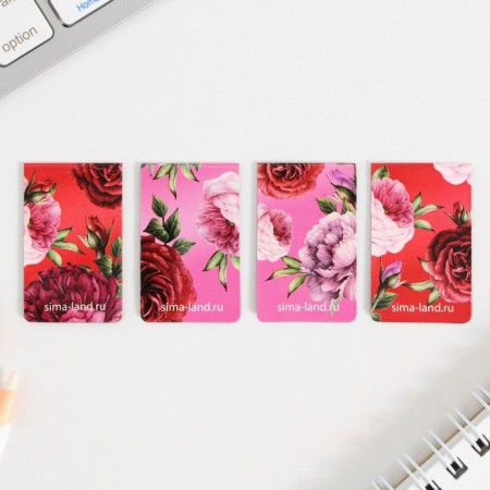 A set of magnetic bookmarks 4 pieces on the substrate "Beloved Teacher"-4