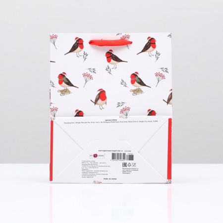 Gift package "Feathered", 18 x 22.3 x 10 cm-1