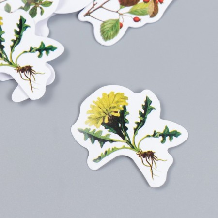 Stickers for creativity "Flowers and mushrooms" set 46 pcs 6x4x1.1 cm-1