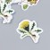 Stickers for creativity "Flowers and mushrooms" set 46 pcs 6x4x1.1 cm
