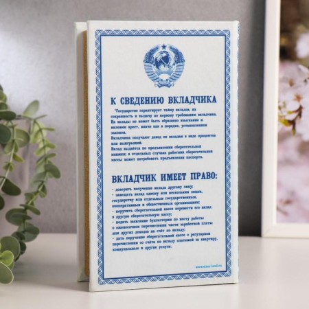 Seekathelka "Savings Book" 21x14.5x5 cm-4