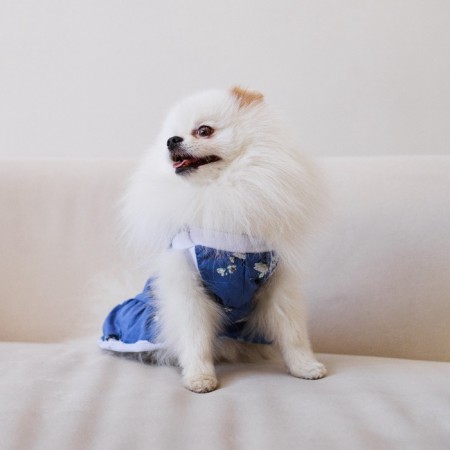 Dress for dogs Culinary, S (DS 27, Osh 32-36, OG 38-42), Blue-9