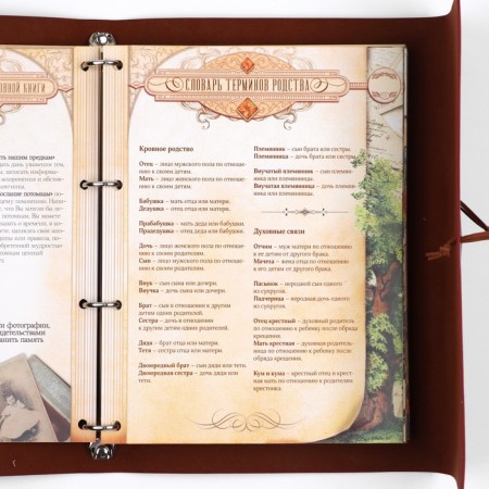 The genealogy book "Our family", with a pen, 65 sheets, Bordeaux, 35 x 25 cm-8