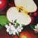 Groot board "Juicy apple" 27x18 cm
