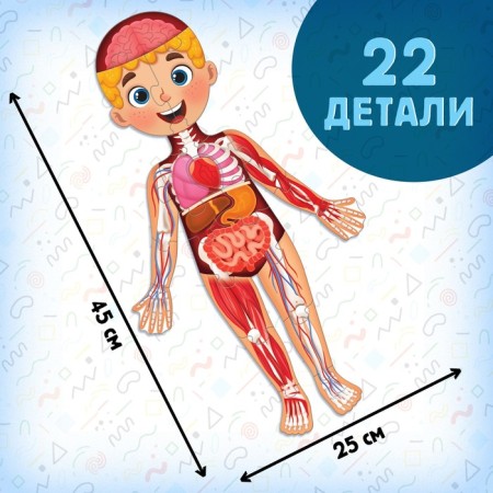 Set "My Body": Megapazil with a training book-5