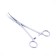 Clamp = cornzang fishing namazu, l = 220 mm, curved, stainless steel