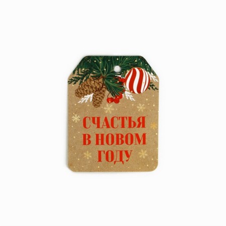 Shildiki for a gift “Happy New Year!”, 16 x 24 cm, 6 pcs-6