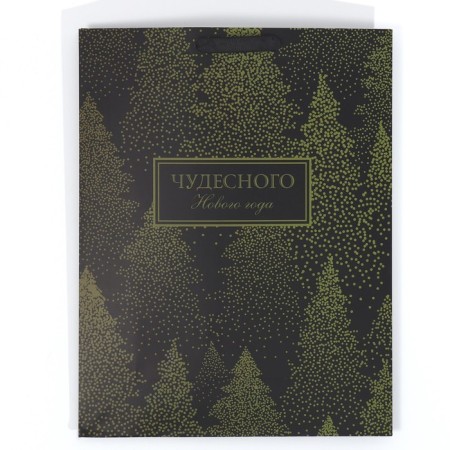 Laminated vertical packet “Wonderful New Year”, l 31 x 40 x 11.5 cm, New Year-5