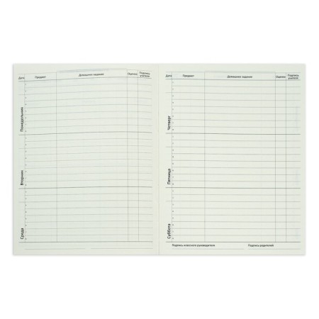 Universal diary for grade 1-11 Croco Feel Inspired, solid cover, artificial leather, foil embossing, liesse, 48 sheets-9