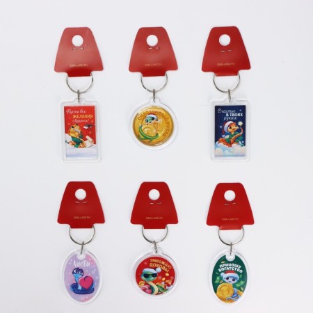A keychain of plastic "Happiness in your hands", mix, 5 x 4 cm-2