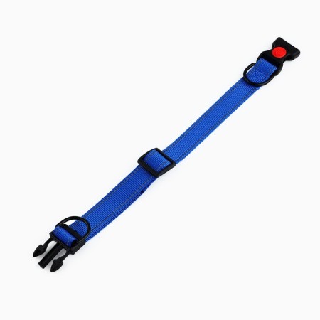 Nylon collar with fastex 2.5 cm, b blue-4