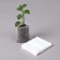 Package for seedlings, 250 ml, 5.7 × 9 cm, spanbond density 25 g/m², Greengo