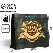 Gift Laminated horizontal package, packaging, “February 23”, ML 25x 21 x 8 cm