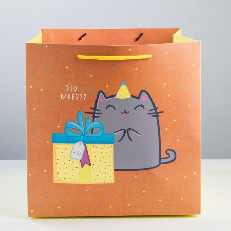 Square gift package, packaging, “cat and cake”, 30 x 30 x 30 cm-4