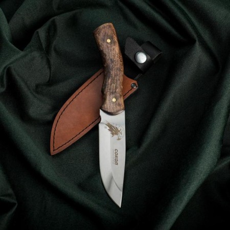 Knife falcon, stainless steel 65x13
