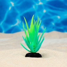 The plant is artificial aquarium, luminous, 10 cm, green