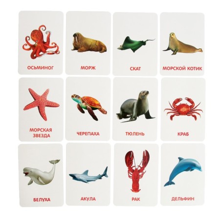 Developing set with “water animals” cards, according to the method of Doman-5