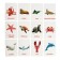 Developing set with “water animals” cards, according to the method of Doman