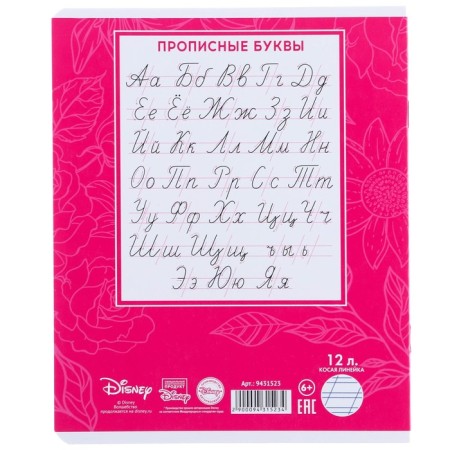 Notebook in a slanting ruler of 12 sheets, 5 types of mix, cover coated cardboard, cats aristocrats-4