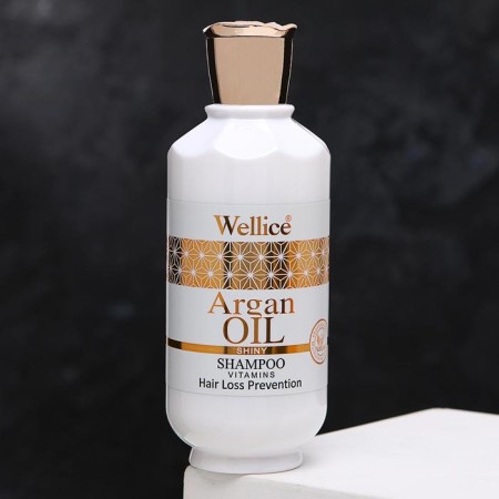 Professional shampoo against hair loss with argan oil 520 ml-1