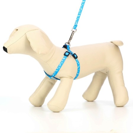 Set "Classic", Kapron, leash 120 x 1 cm, fire 21-35 cm, blue-1