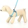 Set "Classic", Kapron, leash 120 x 1 cm, fire 21-35 cm, blue