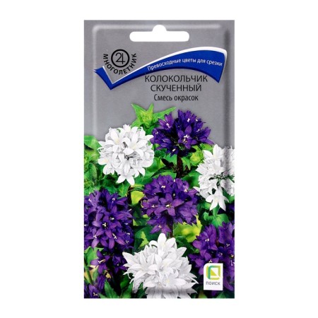 Flower seeds bell bored mixture of colors, 0.05g