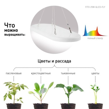 Lamp for plants ERA Fito-25W-QLED-Fly suspended full spectrum 25 W-8