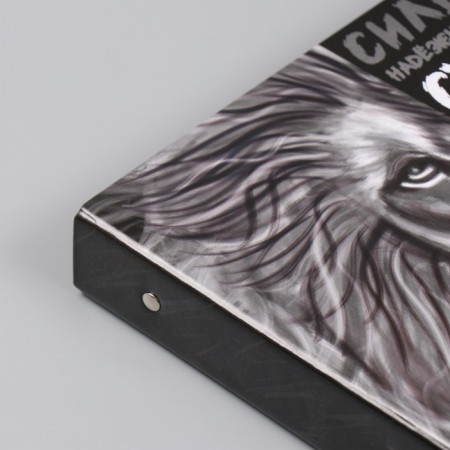 Photo album 25 sheets (stickers+rings) "Leo" 19x27x3 cm-9