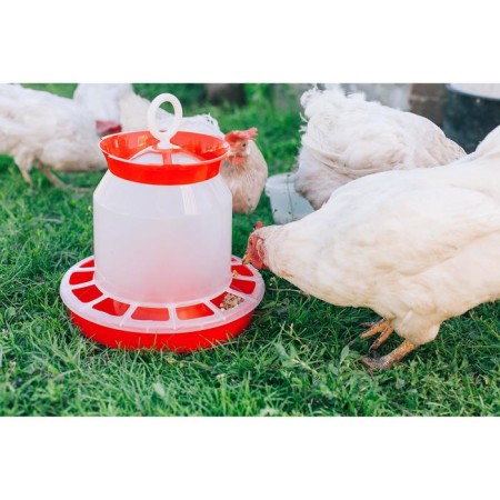 Bunker feeder for poultry at 5 kg, color mix-6