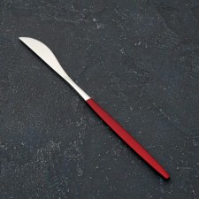 Stainless steel knife Magistro 