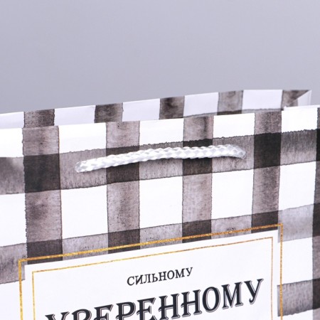 Gift package laminated, packaging, “strong”, MS 23 x 18 x 8 cm-4