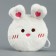 Wallet "Bunny" on the key