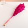 Set of dried flowers "reed", banch length 65 (+/- 6 cm), fuchsia