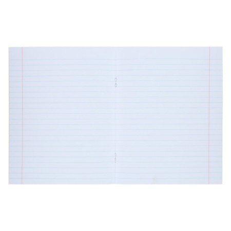 Notebook of 12 sheets in the Calligrata "School" line, cover coated cardboard, VD-LK, OFSET block, whiteness 95%, Green-1