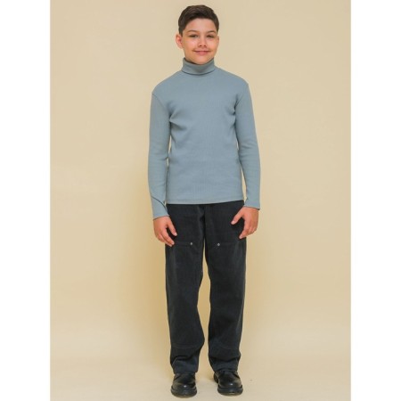 Turtleneck for the boy Pelican, height 104 cm, color gray-5