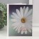 Photo album for 36 photos "Flowers, chamomile" 10x15 cm