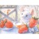 Mouse's journey. Book with fragrant pictures (in case)