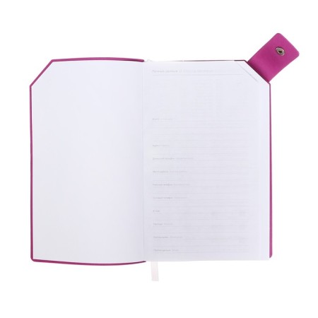 Lotted diary, 120x200 mm 128 sheets, leatherette, gray block 70 g/m2, lies, a refrain with a colored button, lilac-3