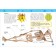 Encyclopedia for kindergarten "Human Body"