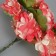 Decorative flower for the creativity of "chrysanthemum" red-white