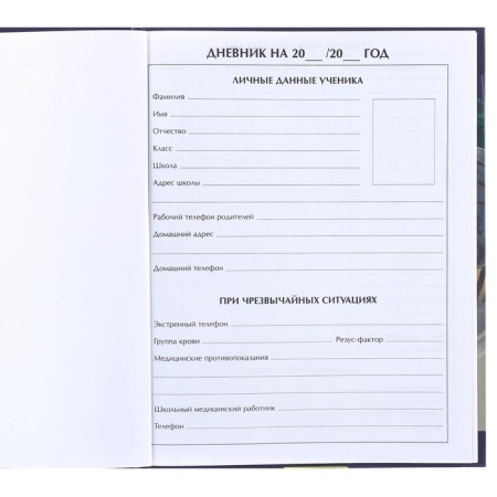 School diary, grade 1-11 in a hard cover, partial UV Lac, 40 l, transformers-6