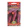 Seed Carrots "Purple Dragon", 100 pcs.